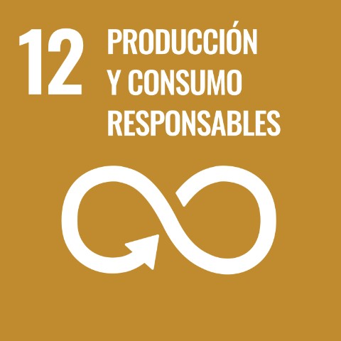 SDG 12 · Producción y consumo responsables