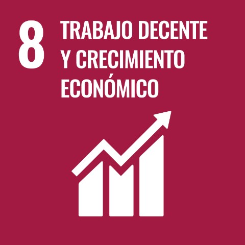 SDG 8 · Trabajo decente y crecimiento económico