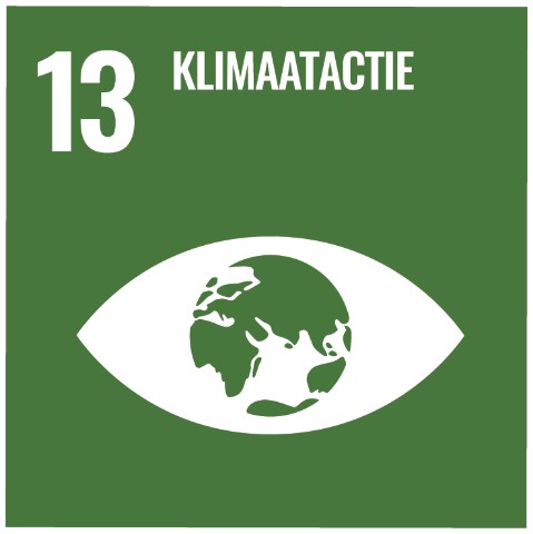 SDG 13 · Klimaatactie