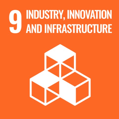 SDG 9 · Industry, innovation and infrastructure