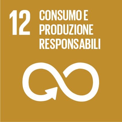 SDG 12 · Consumo e produzione responsabili