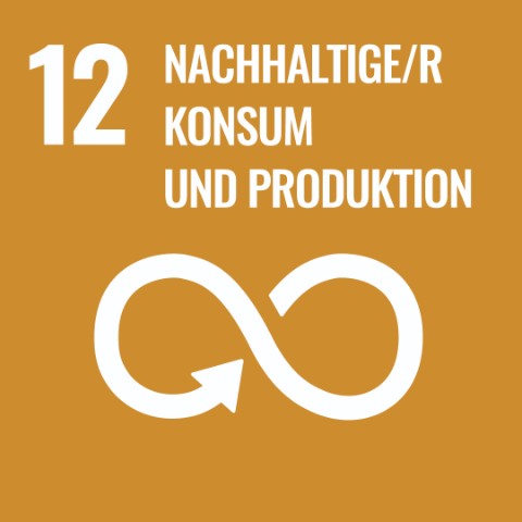 SDG 12 · Nachhaltige/r Konsum und Produktion
