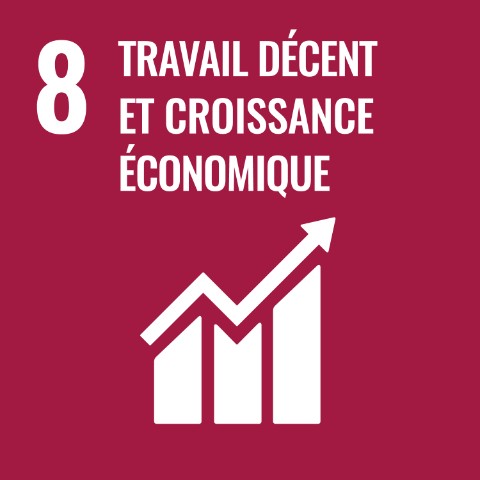 SDG 8 · Travail décent et croissance économique