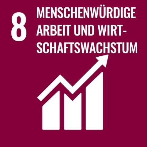 SDG 8 · Menschenwürdige Arbeit und Wirtschaftswachstum