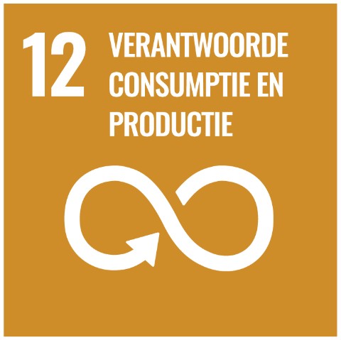 SDG 12 · Verantwoorde consumptie en productie