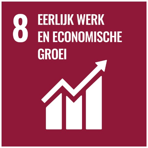 SDG 8 · Eerlijk werk en economische groei