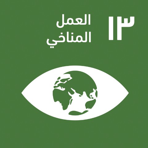SDG 13 · العمل المناخي