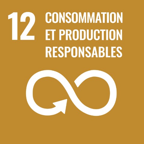 SDG 12 · Consommation et production responsables