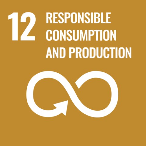 SDG 12 · Responsible consumption and production