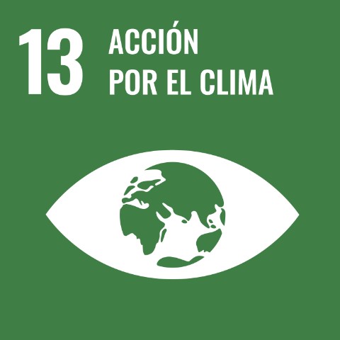 SDG 13 · Acción por el clima