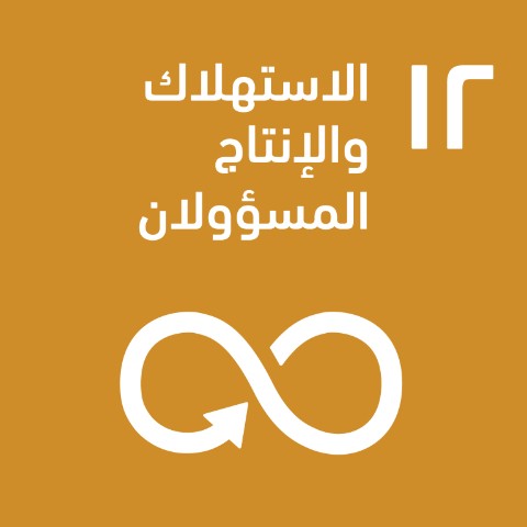 SDG 12 · الاستهلاك والإنتاج المسؤولان