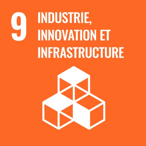 SDG 9 · Industrie, innovation et infrastructure