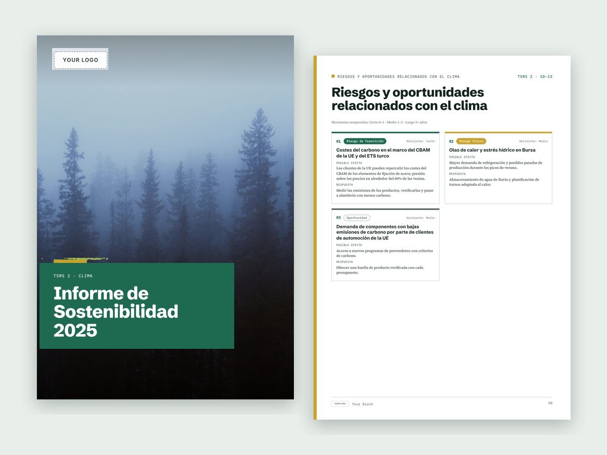 Informe TSRS