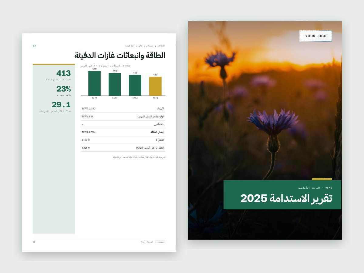 تقرير VSME