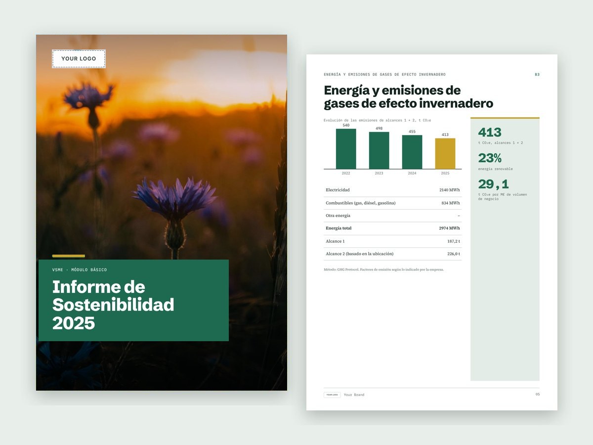 Informe VSME